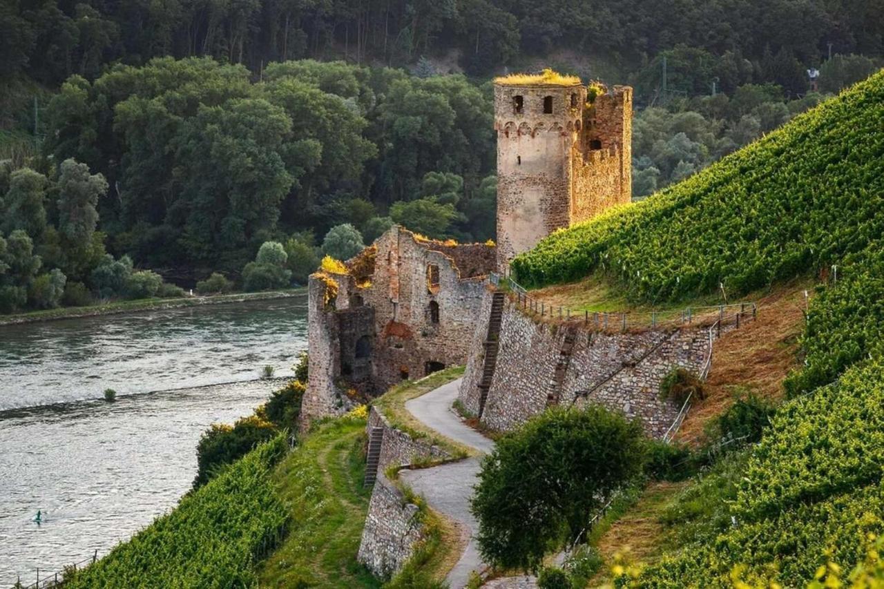 Hotel Trapp Rüdesheim am Rhein Εξωτερικό φωτογραφία