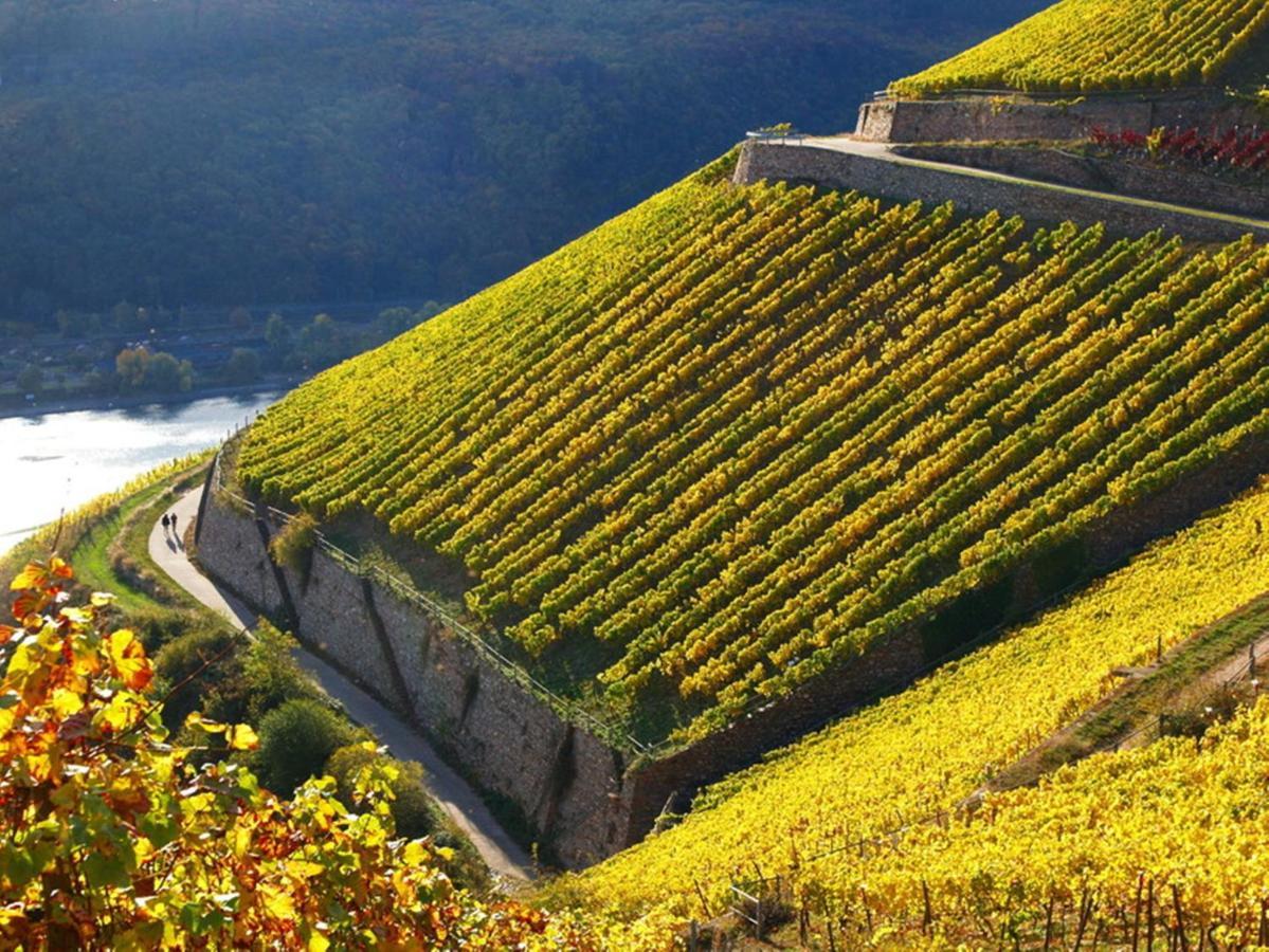 Hotel Trapp Rüdesheim am Rhein Εξωτερικό φωτογραφία