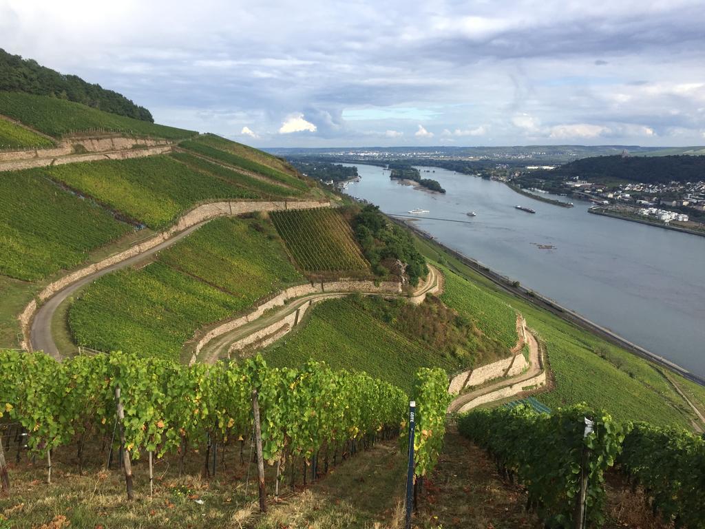 Hotel Trapp Rüdesheim am Rhein Εξωτερικό φωτογραφία
