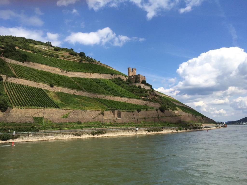 Hotel Trapp Rüdesheim am Rhein Εξωτερικό φωτογραφία