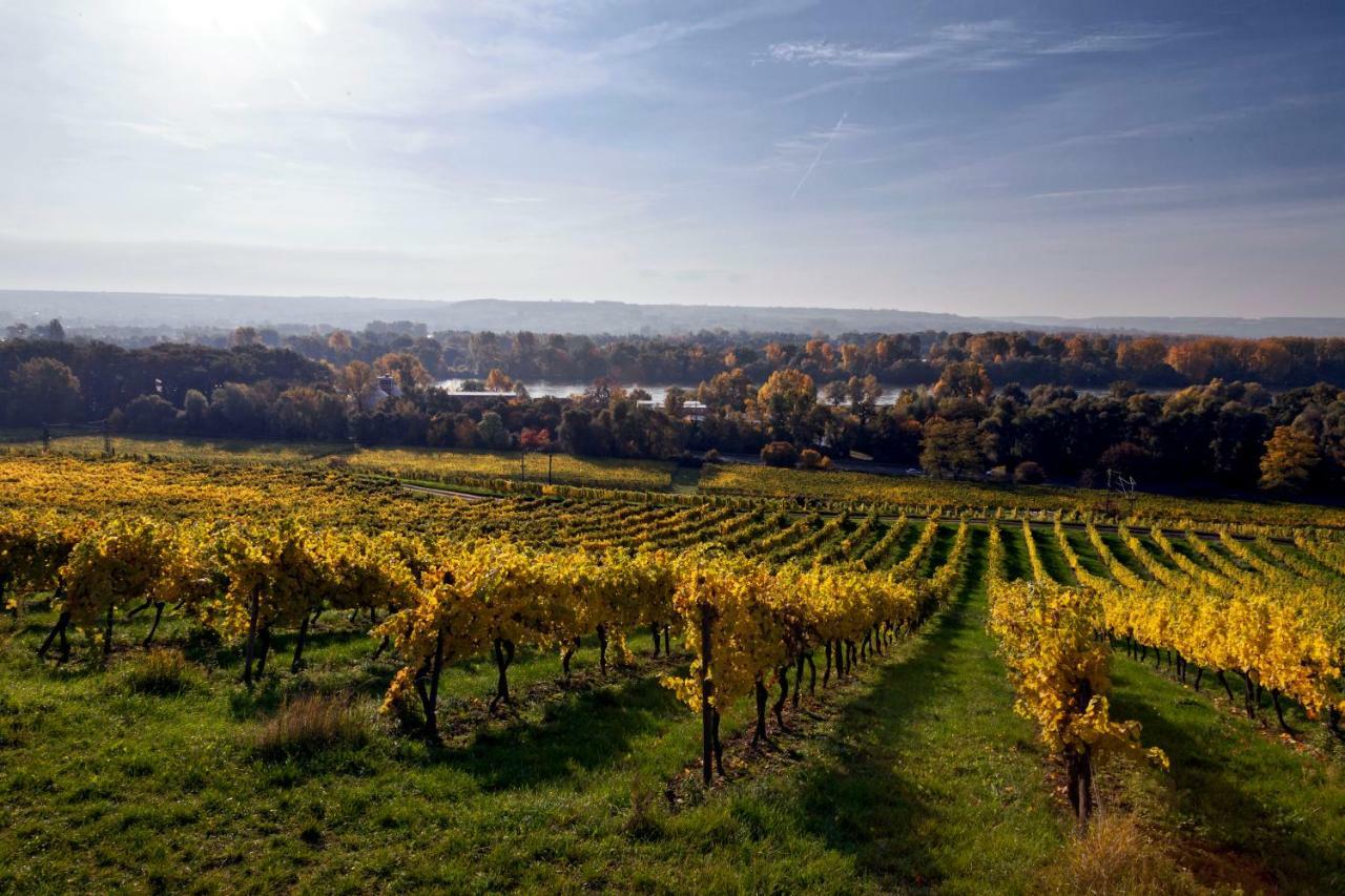 Hotel Trapp Rüdesheim am Rhein Εξωτερικό φωτογραφία